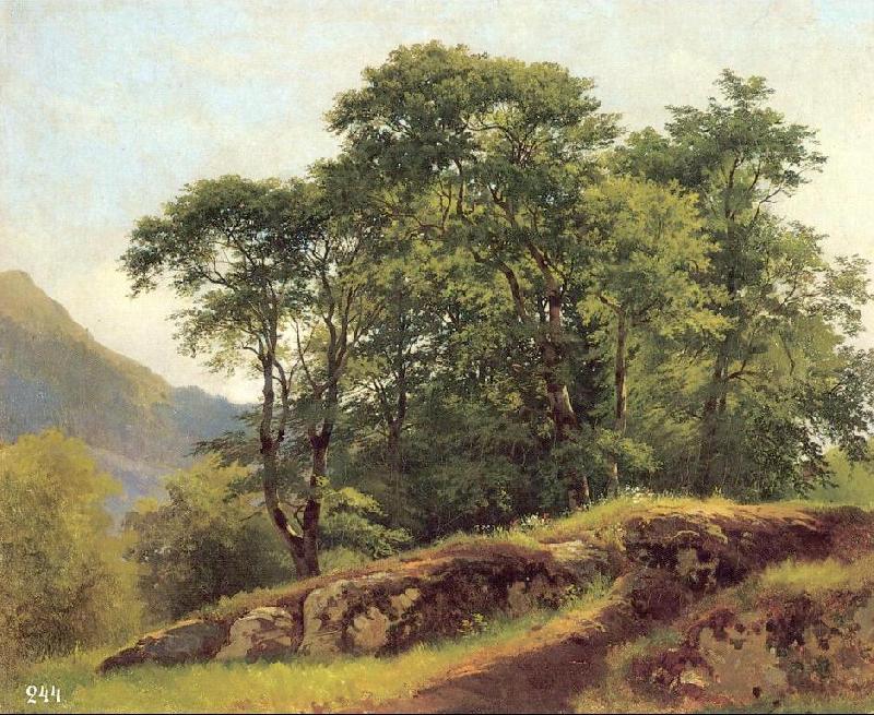 Ivan Shishkin Beech Forest in Switzerland oil painting picture